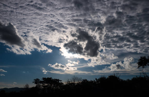 istock Sky with cloudy and silhouette of tree. Outdoors on summertime. 669892316