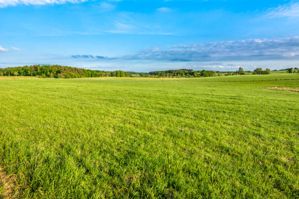 istock Green field of grass in spring, landscape 669892328