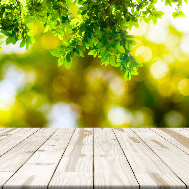 istock Wood table top on Green leaf with nature blurred 669895414