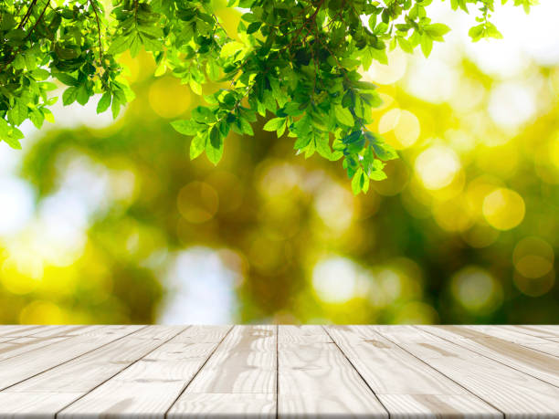 istock Wood table top on Green leaf with nature blurred 669895480