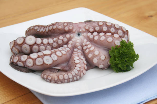 istock Fresh octopus on a plate on wooden background 669896162
