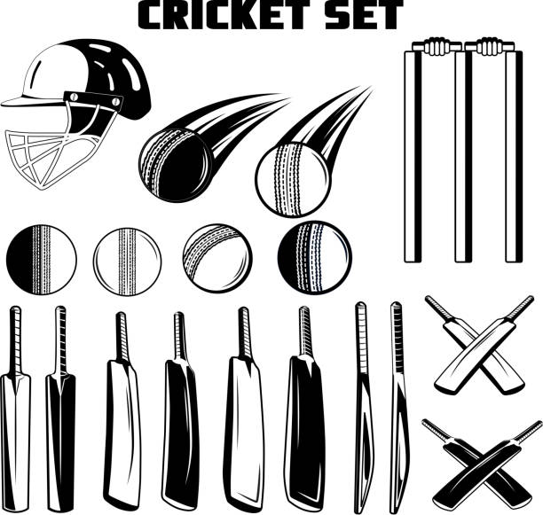 벡터 흑백 게임 크리켓 박쥐, 공, 디자인헬멧, 로고, 프린트, 흰색 배경에 �웹 - cricket bowler stock illustrations