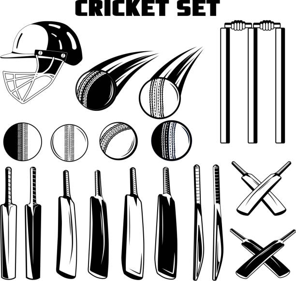 ilustrações, clipart, desenhos animados e ícones de vetor preto e branco jogo tacos de críquete, bolas, capacete para o seu design, logotipo, impressão, web em um fundo branco - cricket bowler