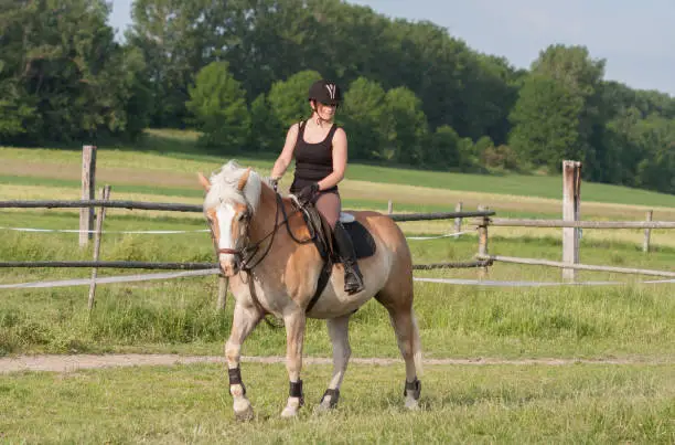 A young woman riding a horse, horse breed Haflinger.A young woman riding a horse, horse breed Haflinger.