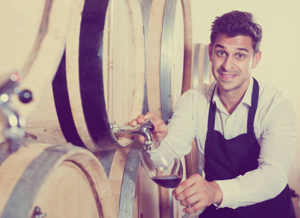 istock Seller pouring wine in cellar 669912098