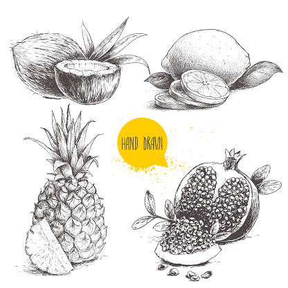 istock Hand drawn sketch style tropical fruits set. Slice of lemon with leaf, half of coconut, pineapple and pomegranates with seeds. Tropic food drawing. 669922634