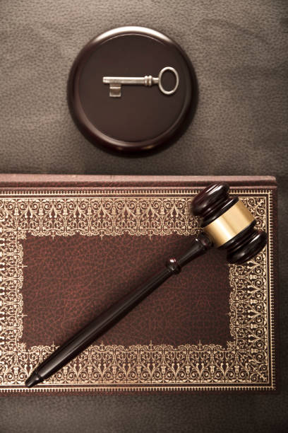 istock The law. Lawyers theme 669926314