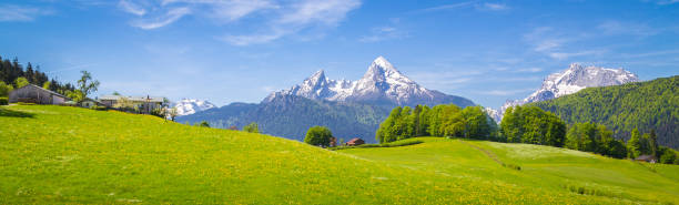 Idyllic landscape in the Alps with blooming meadows in summer Panoramic view of idyllic mountain scenery in the Alps with fresh green meadows in bloom on a beautiful sunny day in springtime, National Park Berchtesgadener Land, Bavaria, Germany berchtesgaden national park photos stock pictures, royalty-free photos & images