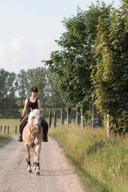 istock A young woman riding a horse Haflinger 669926986