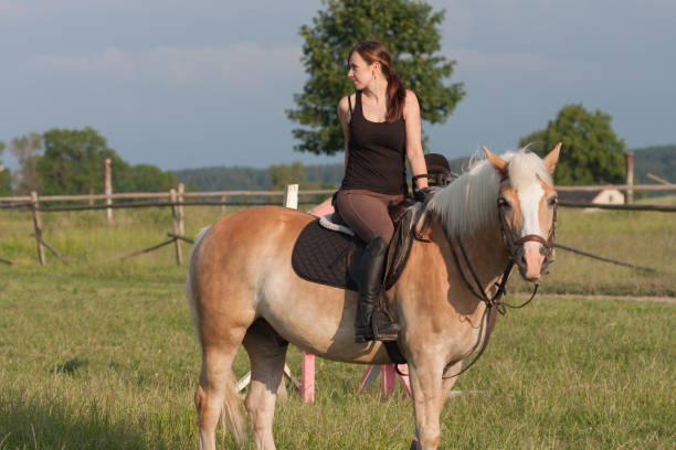 istock A young woman posing on  a horse Haflinger 669931564