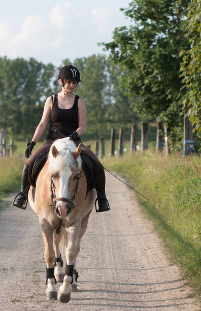 istock A young woman riding a horse Haflinger 669937622