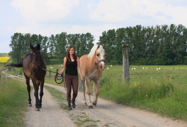 istock Young woman walking with  two horses 669965404
