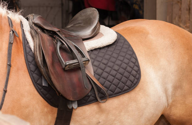 馬に乗ってサドルのクローズアップ、馬小屋の馬 - saddle blanket ストックフォトと画像