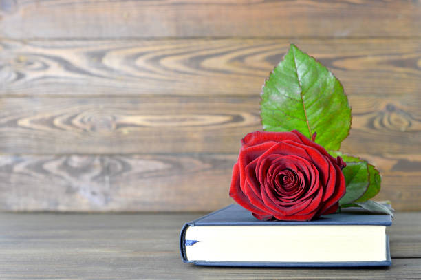 istock Red rose and book on wooden background 669967852