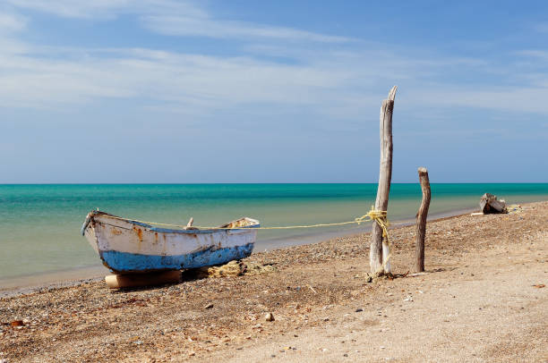 istock Beach on the Peninsula La Guajira 669970574
