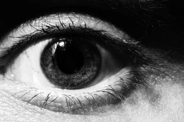 istock Black and white Male eye macro 669971492