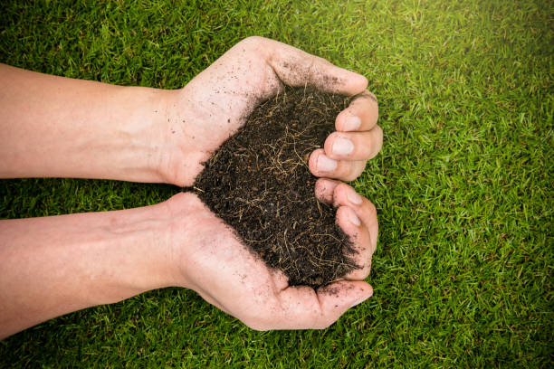 istock soil in heart shape holding in hands on grass background 669978244