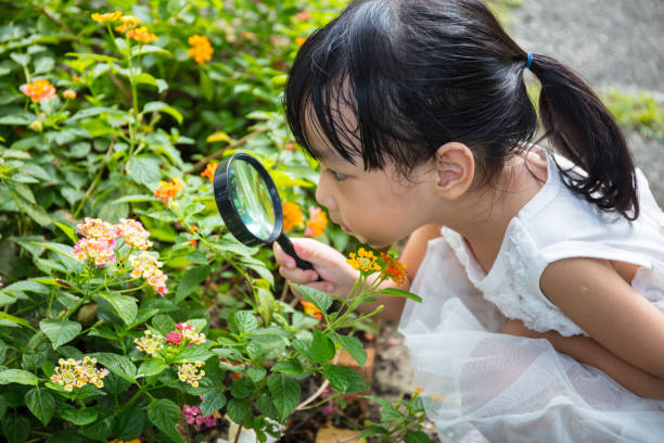 asiatische chinesische mädchen blume durch eine lupe betrachten - child discovery outdoors playing stock-fotos und bilder