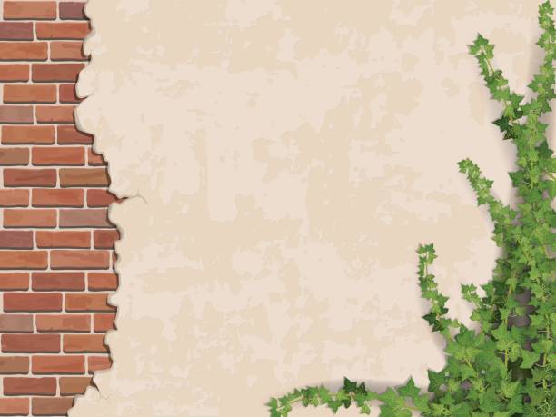 concrete wall ivy and brick Ivy on weathered wall background with brick masonry.  Vector realistic illustration. concrete borders stock illustrations