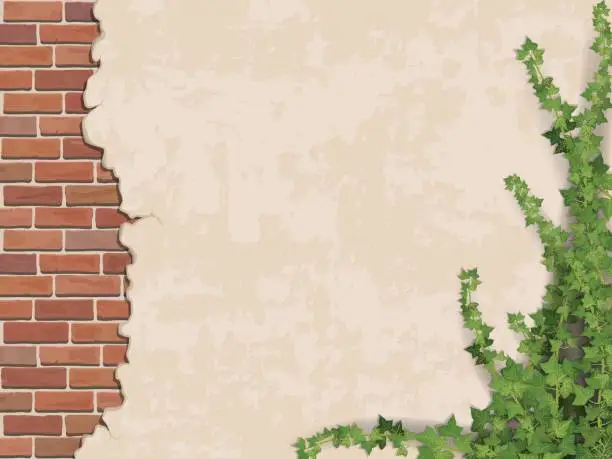 Vector illustration of concrete wall ivy and brick