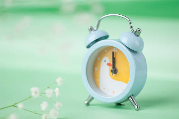 istock clock with an animal print 669996946