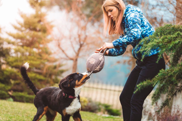 istock The best therapist has fur and four legs 669999730
