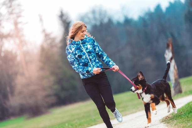 istock Girl taking her dog for a walk 670005122