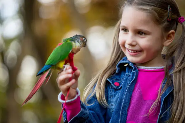 Photo of Cute Little Girl With Parrot