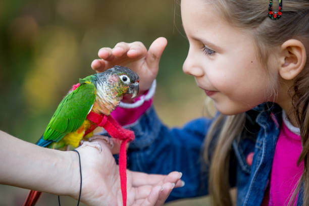 istock Cute Little Girl With Parrot 670008720