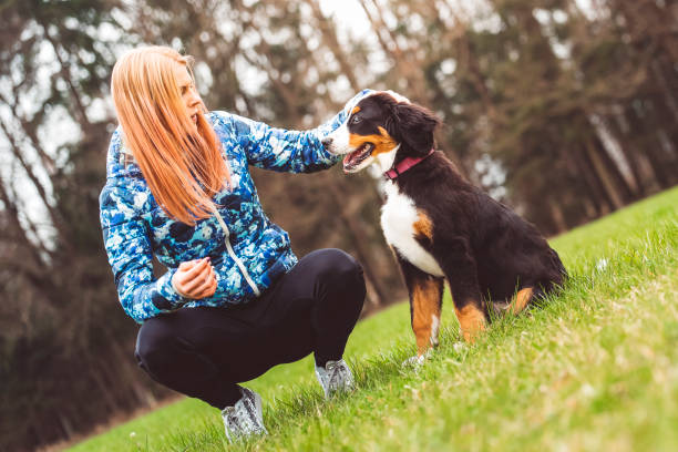 istock Who's a good girl? 670014898