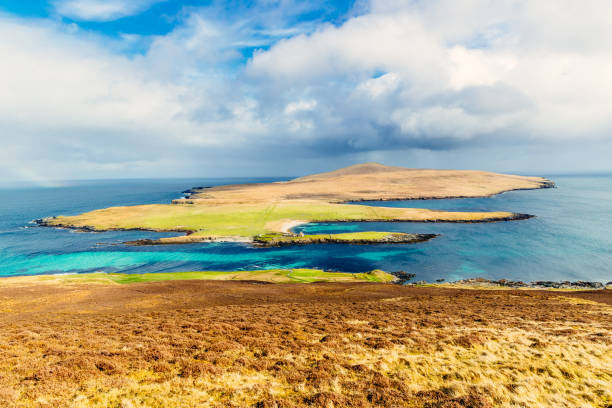 wyspa noss, szetlandy, szkocja - shetland islands zdjęcia i obrazy z banku zdjęć