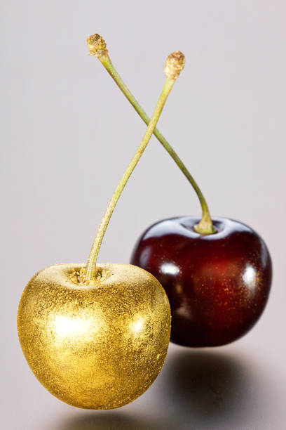 istock Golden cherries on a gray background 670019652