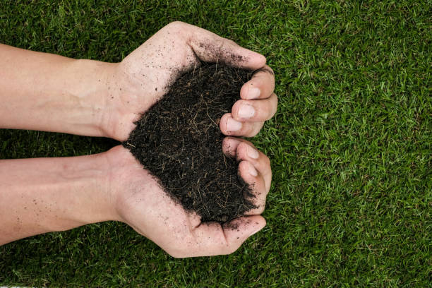 istock Hands holding soil in heart shape on green grass background 670022326