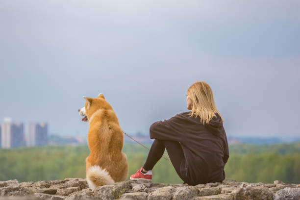 istock Girl with her akita dog pet 670026310
