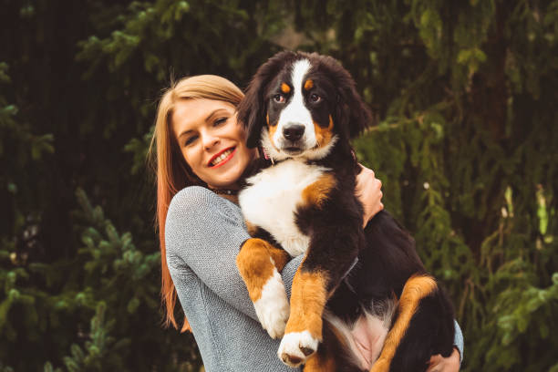 istock Beautiful Girl with Puppy 670026618