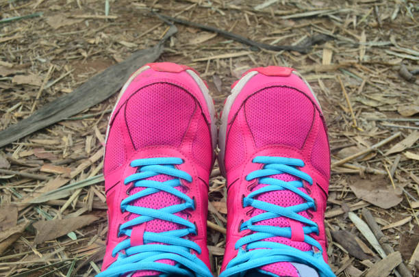 istock Pink sport shoe over bamboo forest floor 670027452