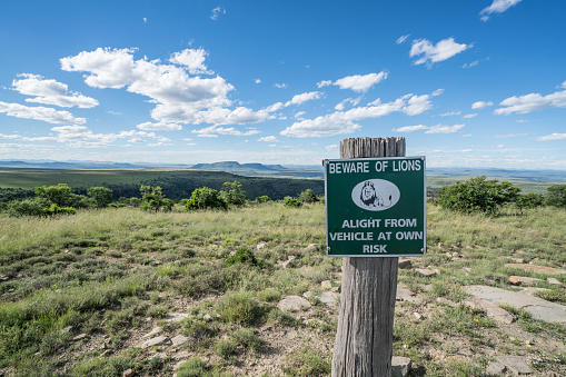 Beautiful view of the green hills of Mountain Zebra national park in South Africa and a beware of lion warning sign.