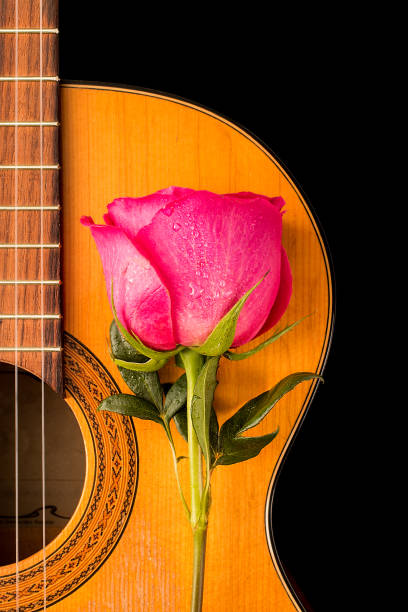 istock One rose on the old guitar 670032264