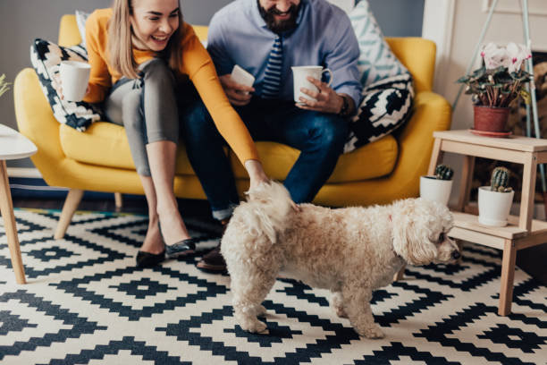istock Couple is calling their dog to come over 670033408