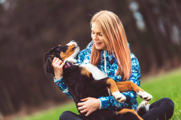 istock Owner playing with her puppy 670037546