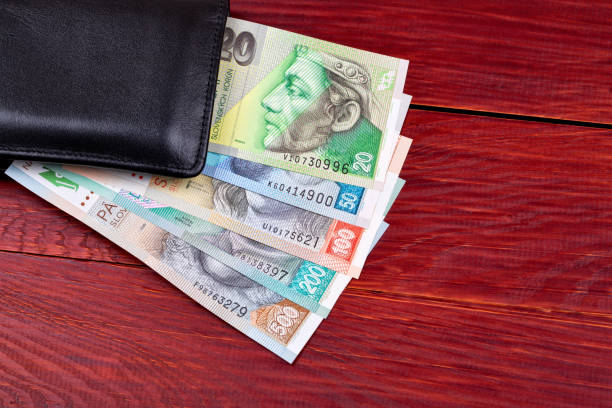 istock Slovak money in the black wallet 670037770