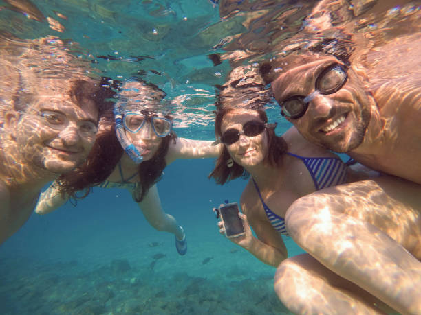 Friends From The Sea