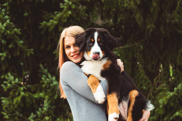 istock Young girl holding a puppy 670041828