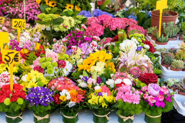 istock flowers for sale 670044000
