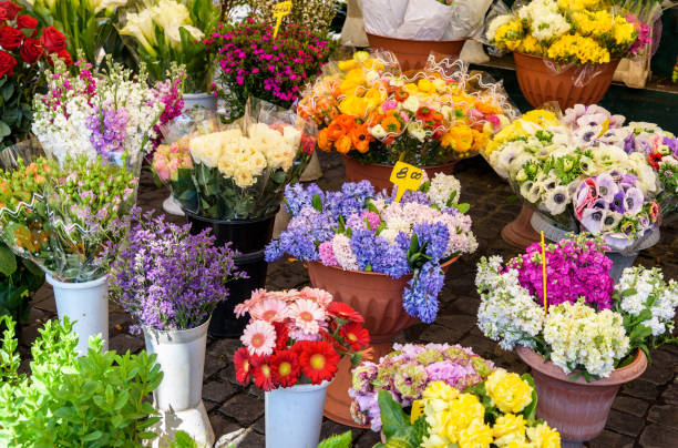 blumen zum verkauf - rome flower market store flower stock-fotos und bilder