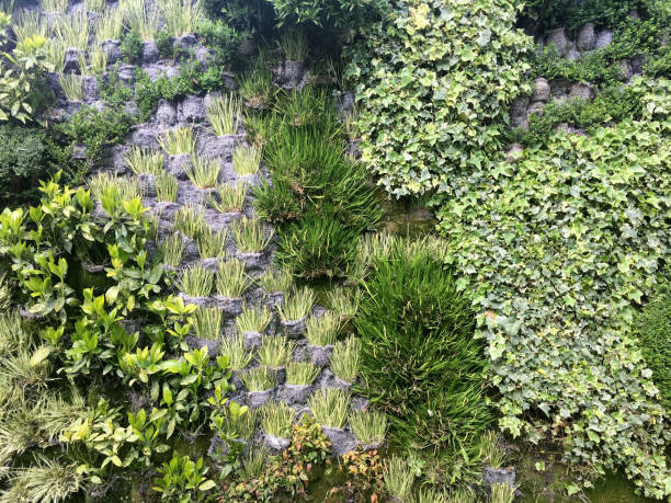 Background of green leaves