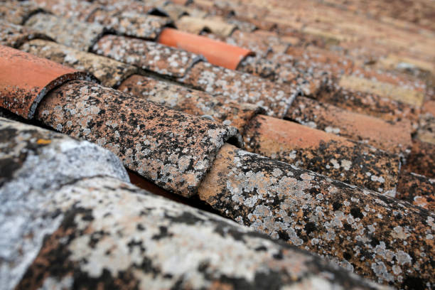 istock roof tiles background 670065774
