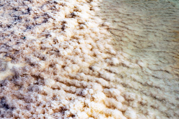 istock Texture - minerals and salts from the Dead Sea 670076964