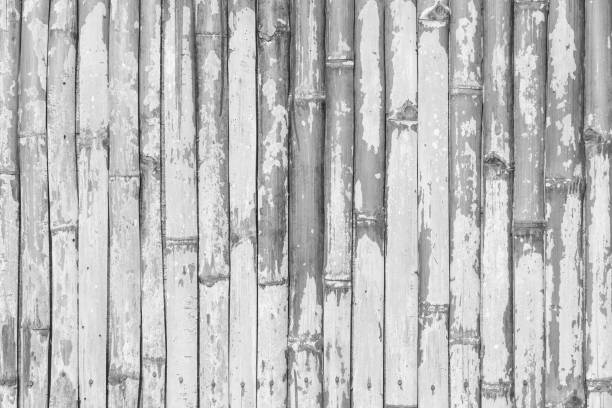 istock old bamboo fence background with black and white effect 670077768