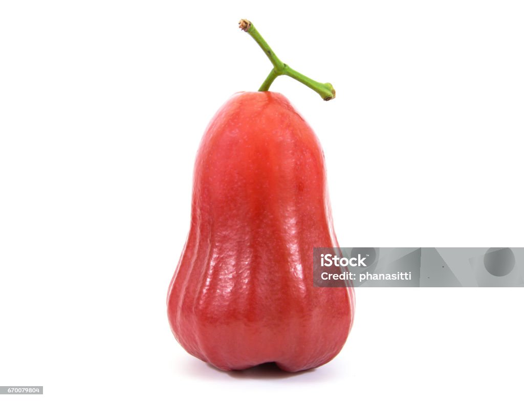 Rose apple isolated on white background. Apple - Fruit Stock Photo